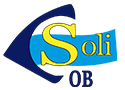 Solicob y Solidarismo logo